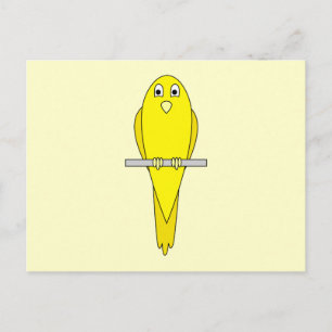 Yellow Bird. Canary. Postcard