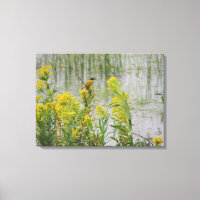 Yellow Bird on Yellow Flowers