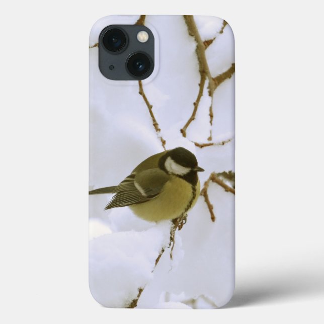 Yellow Bird Winter iPhone 6/6s, Tough Xtreme Case-Mate iPhone Case (Back)