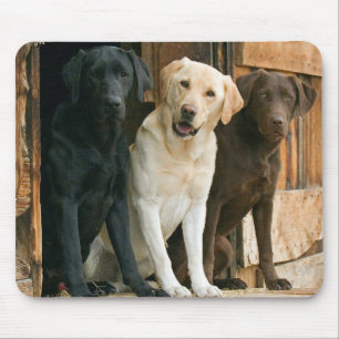Yellow, Black, Brown Labrador Retriever Mousepad