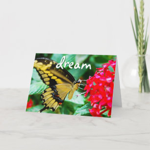 Yellow black butterfly photo dream script modern card