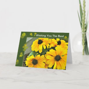 Yellow Black Eyed Susan Blooms Card