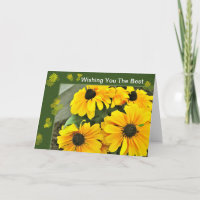 Yellow Black Eyed Susan Blooms