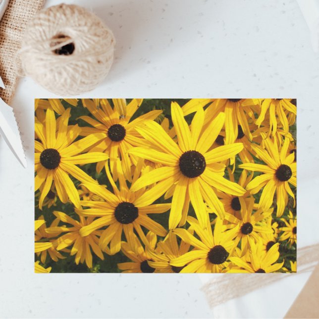 Yellow Black Eyed Susans Floral Tissue Paper (In Situ)