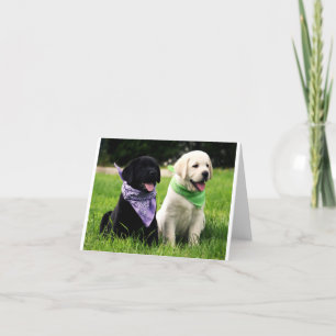 Yellow & Black Labrador Retriever Puppy Note Card