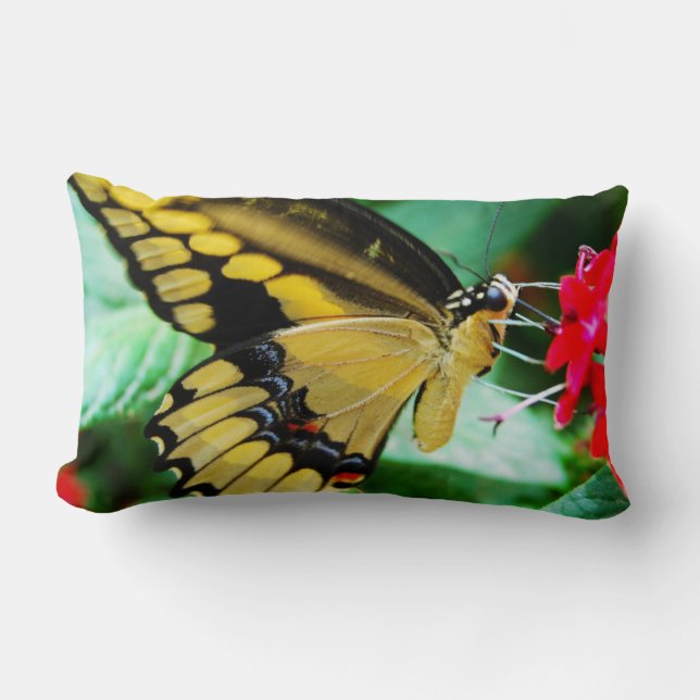 Yellow black swallowtail butterfly photo modern lumbar cushion (Front)