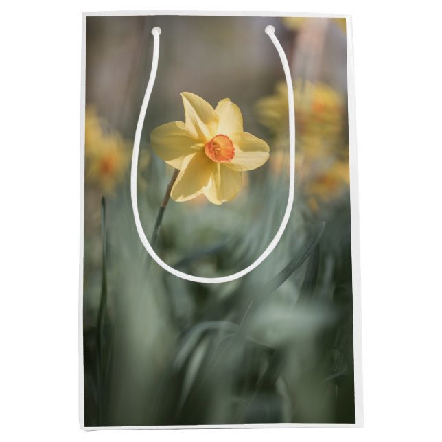 Yellow Blossom Daffodil Nature Photo Medium Gift Bag (Front)