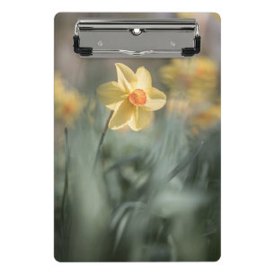 Yellow Blossom Nature Photo Mini Clipboard