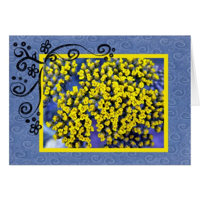 Yellow Blossoms (Front Horizontal)