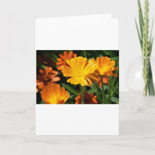 Yellow Blossoms Flowers Art Peace Love Destiny Thank You Card