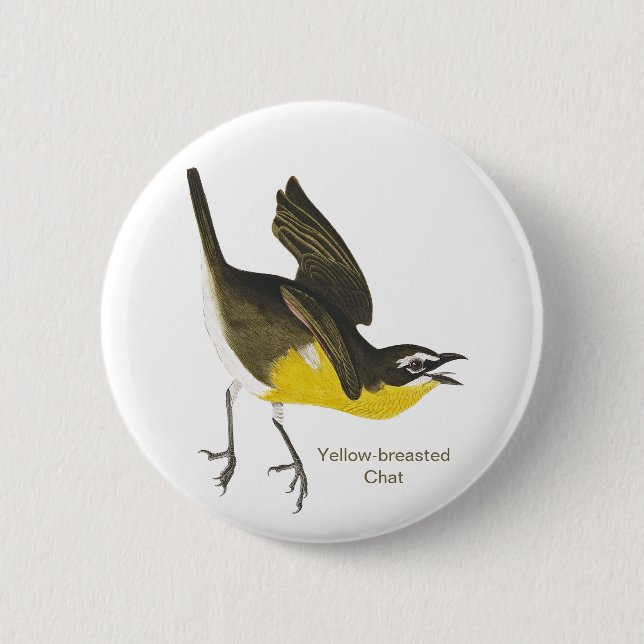 Yellow-breasted Chat, Audubon, Birdwatcher Warbler 6 Cm Round Badge (Front)