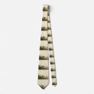 Yellow-breasted Rail - Audubon's Birds of America Tie