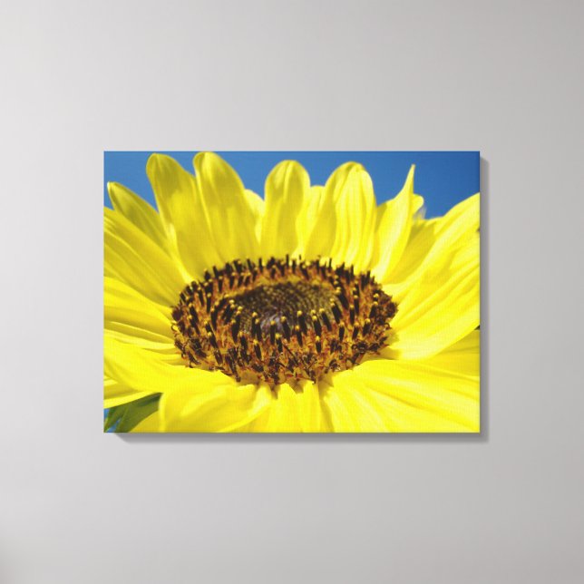 Yellow Bright Colourful Sunflower art prints (Front)