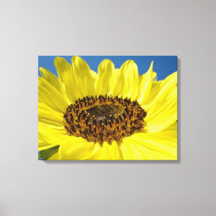 Yellow Bright Colourful Sunflower art prints