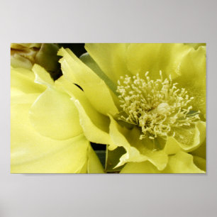 Yellow Brilliance Poster