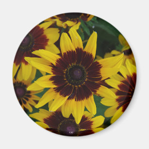 Yellow Brown Flowers magnet
