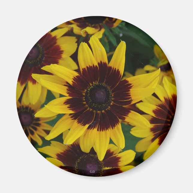 Yellow Brown Flowers magnet (Front)