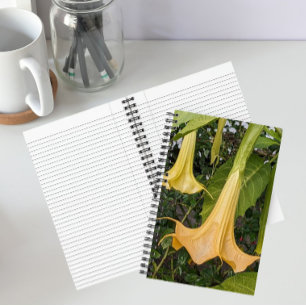Yellow Brugmansia Bloom Floral Notebook