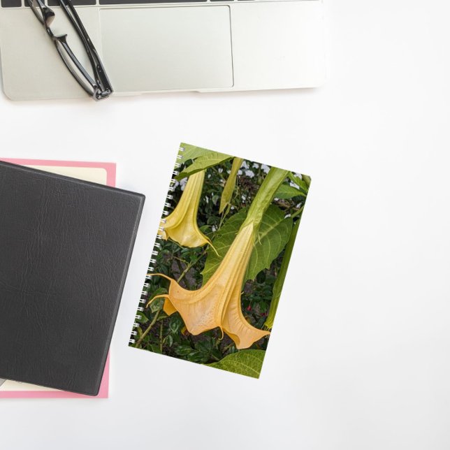 Yellow Brugmansia Bloom Floral Notebook (In Situ)