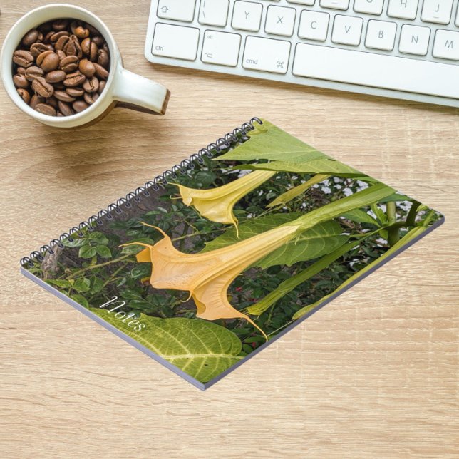 Yellow Brugmansia Bloom Floral Notebook (In Situ)