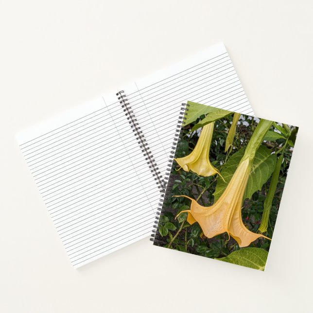 Yellow Brugmansia Bloom Floral Notebook (Inside)