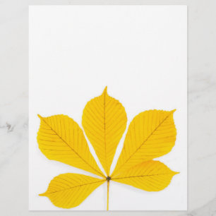 Yellow buckeye leaf on a white background flyer