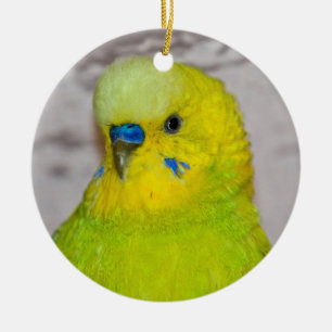 Yellow Budgie Ornament