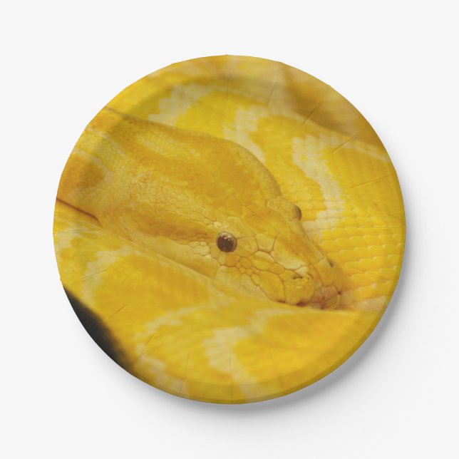 Yellow Burmese Python Paper Plate (Front)