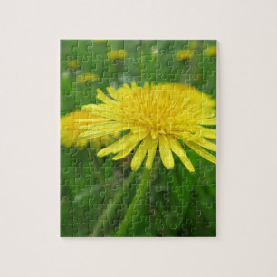 yellow, buttercup, plant, dandelion, meadow, jigsaw puzzle