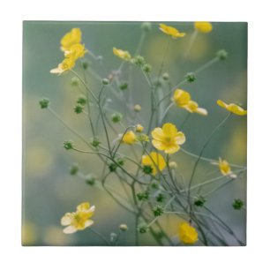 Yellow buttercups tile