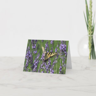 Yellow Butterfly Alighting Lavender Note Card