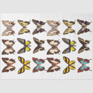 Yellow Butterfly Collection Decoupage Tissue Paper