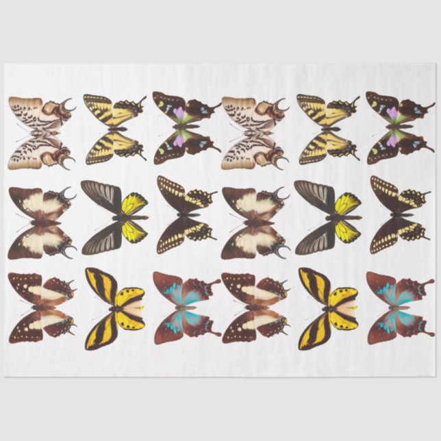 Yellow Butterfly Collection Decoupage Tissue Paper (Front)