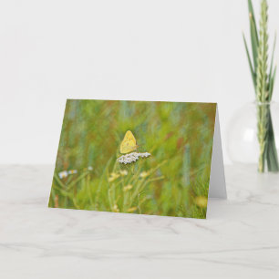 Yellow Butterfly Flowers Nature Art Note Card