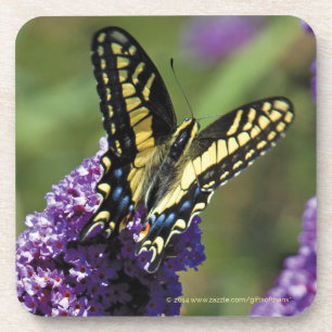 Yellow Butterfly I - Set of 6 Coasters