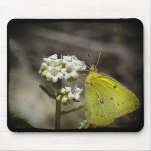 Yellow Butterfly Mouse Pad