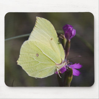 yellow butterfly mouse pad