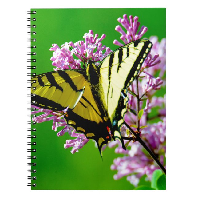 YELLOW BUTTERFLY ON PINK FLOWERS NOTEBOOK (Front)