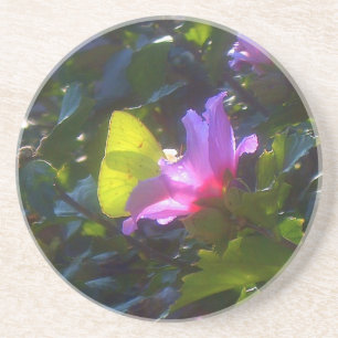 Yellow Butterfly on Pink Rose of Sharon Coaster