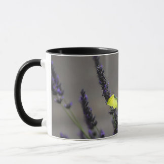 Yellow Butterfly on Purple Lavender Macro Photo Mug