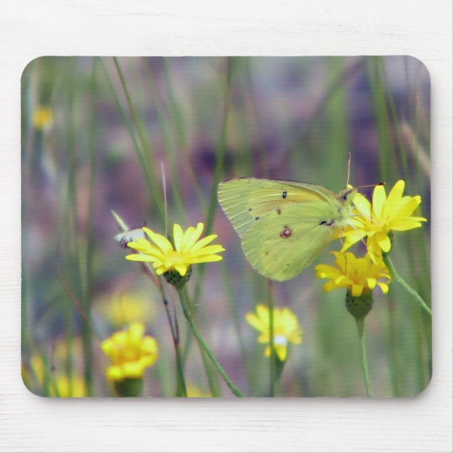 Yellow butterfly on yellow flower mouse pad (Front)
