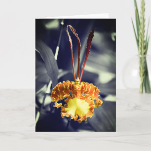 Yellow Butterfly Orchid Flower Card