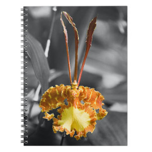 Yellow Butterfly Orchid Flower Notebook