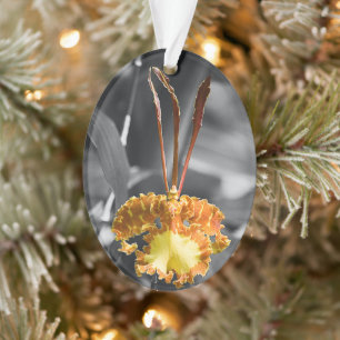 Yellow Butterfly Orchid Flower Ornament