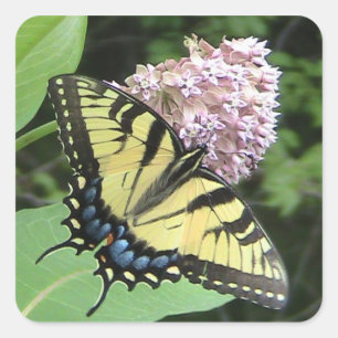 Yellow Butterfly Sticker