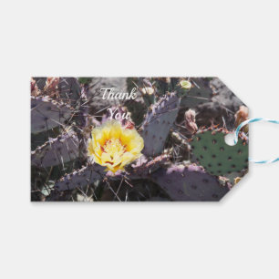Yellow cactus flower in spring gift tags