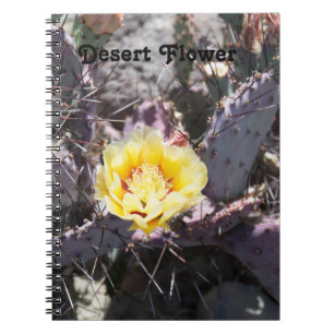 Yellow cactus flower in spring notebook