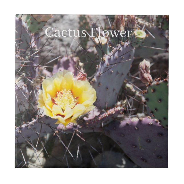 Yellow cactus flower tile (Front)