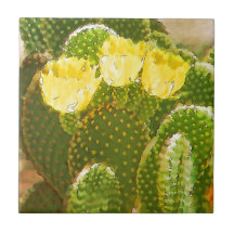 YELLOW CACTUS FLOWERS