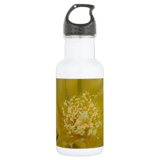 Yellow Cactus In Bloom 532 Ml Water Bottle